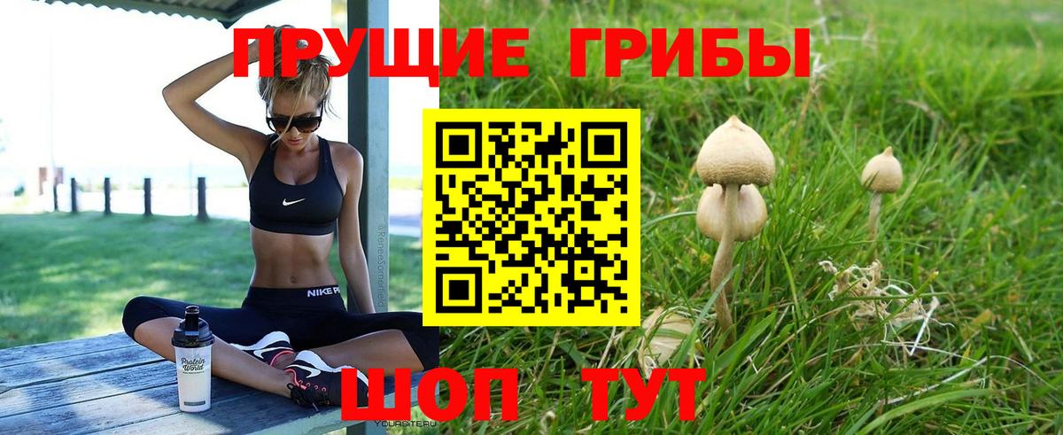 где купить наркоту  Псилоцибиновые грибы Cubensis  Вход с VPN  Котлас 